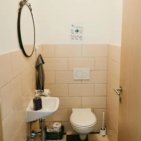 Furman Slovenja Vas Apartment