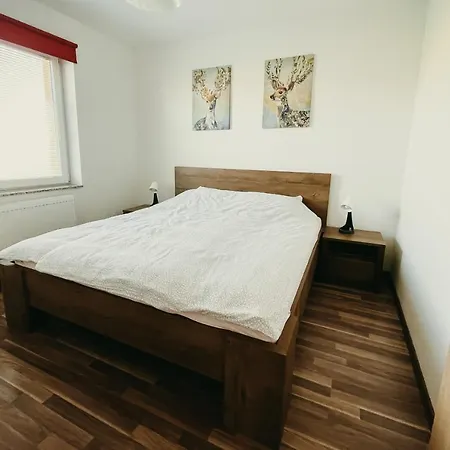 Furman Slovenja Vas * Spodnja Hajdina