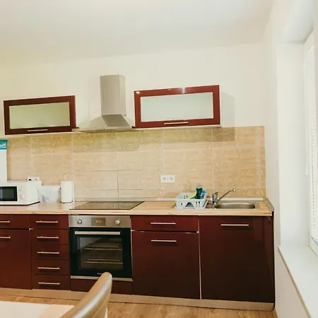 Apartment Furman Slovenja Vas *