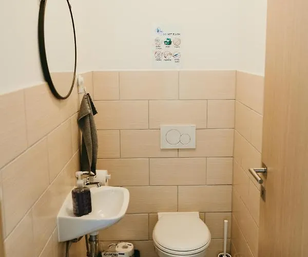 Furman Slovenja Vas Apartment