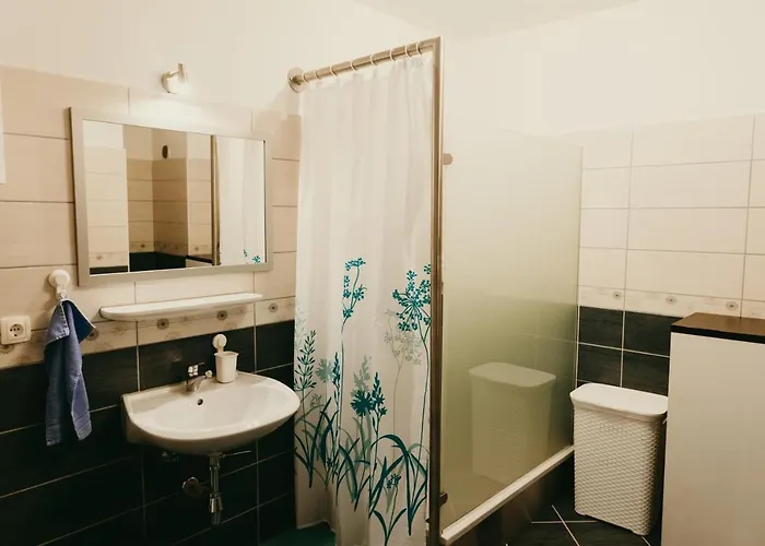 Apartment Furman Slovenja Vas