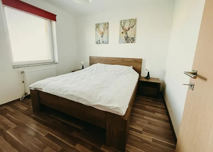 Furman Slovenja Vas * Spodnja Hajdina