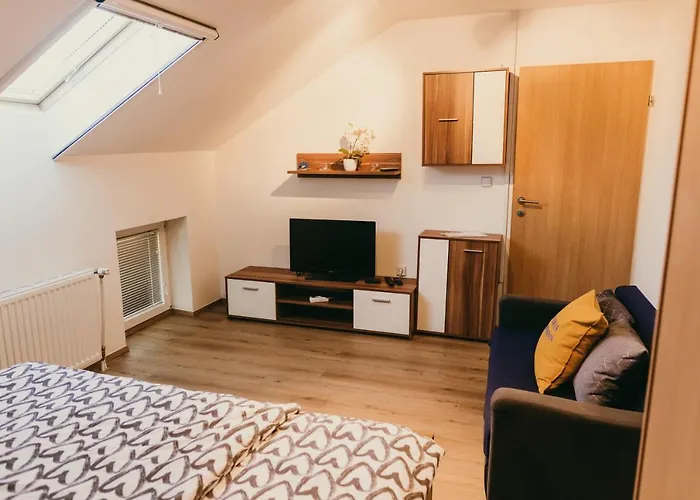 Furman Slovenja Vas *