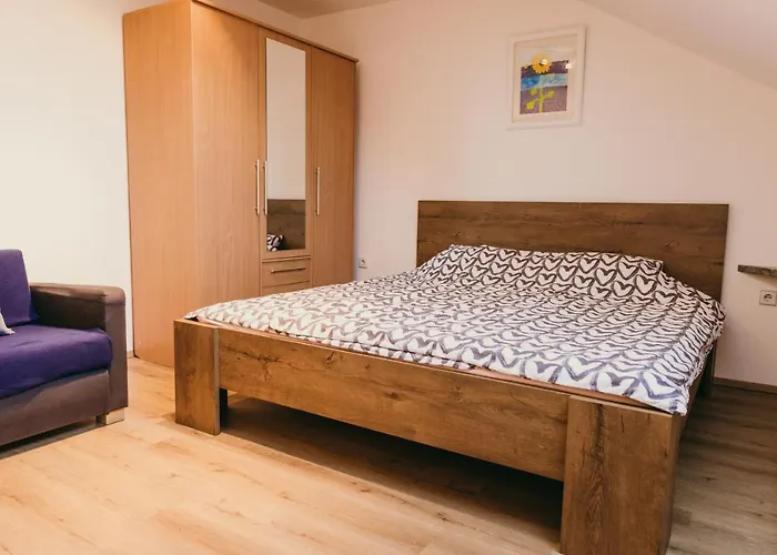 Furman Slovenja Vas Apartment *