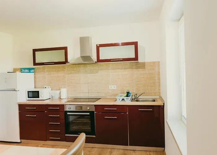 Apartment Furman Slovenja Vas *