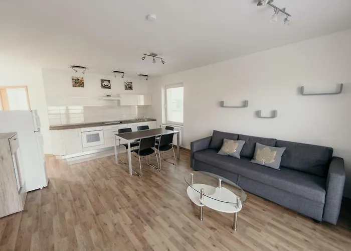 Furman Slovenja Vas *